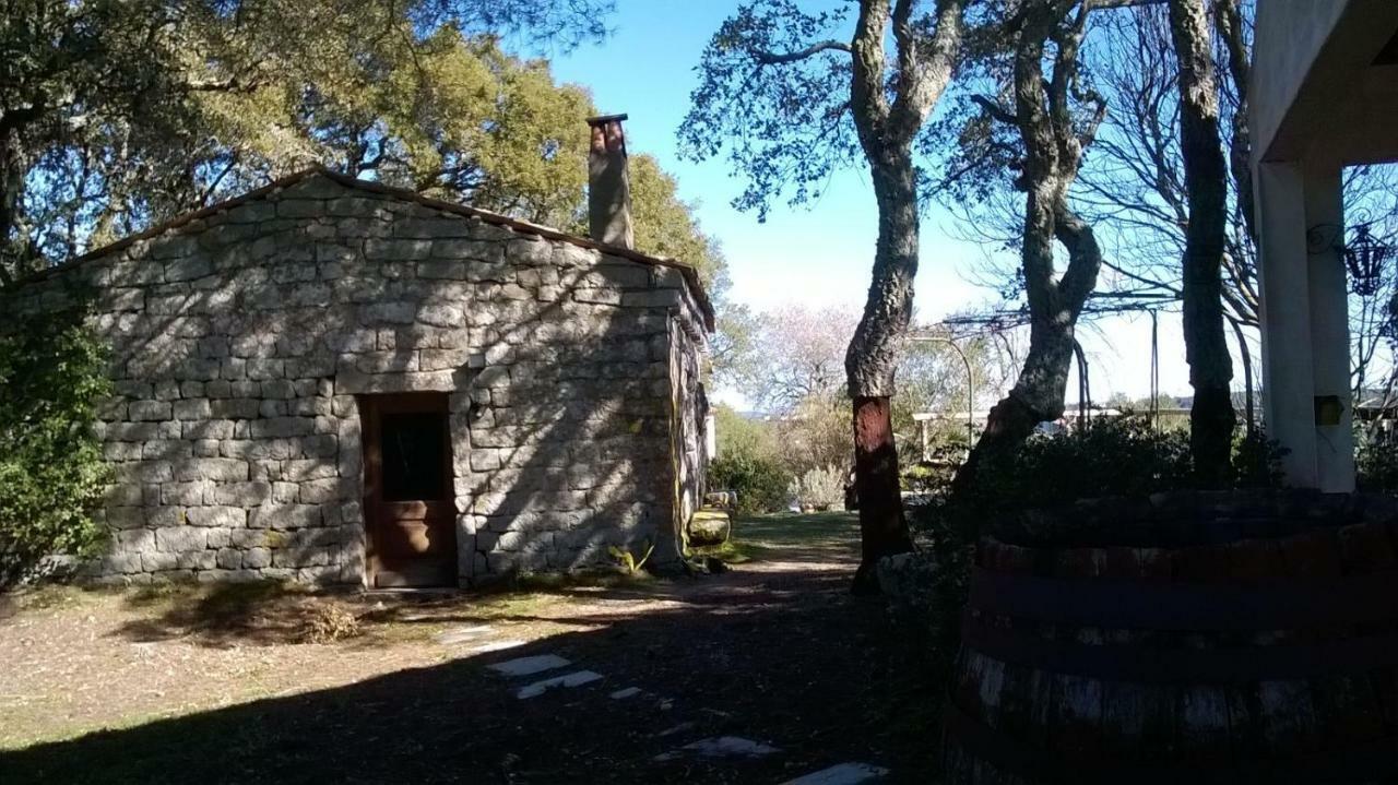 Agriturismo La Vigna Tempio Pausania Exterior foto