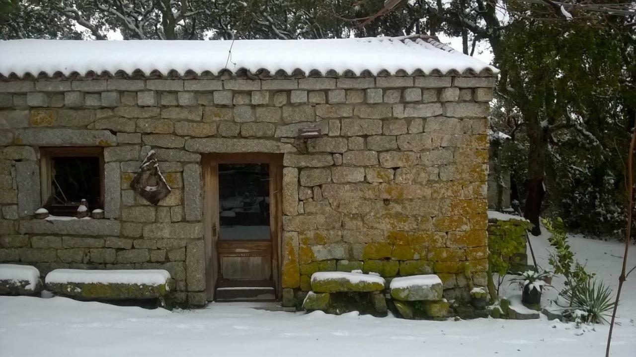Agriturismo La Vigna Tempio Pausania Exterior foto